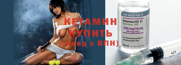 сатива Костерёво