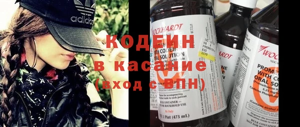 сатива Костерёво