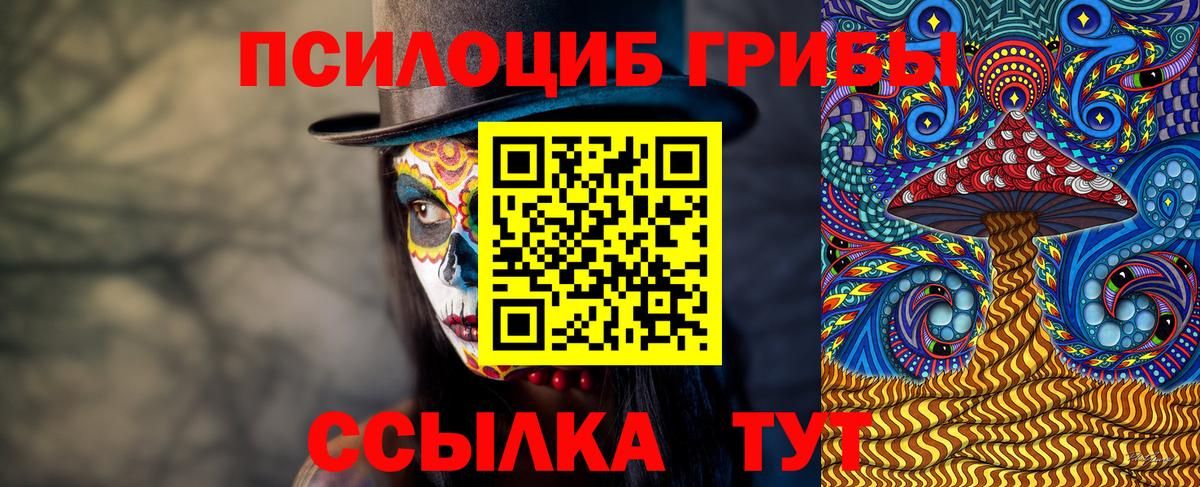 Псилоцибиновые грибы мицелий Краснотурьинск